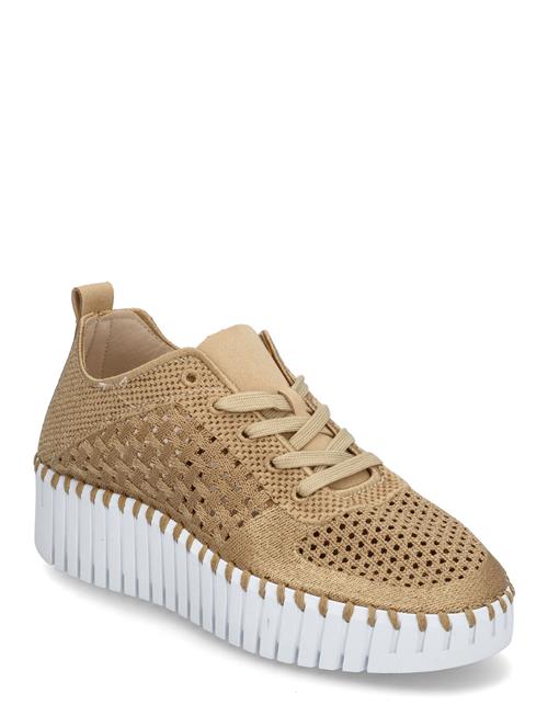 Tulip4271 Ilse Jacobsen Beige