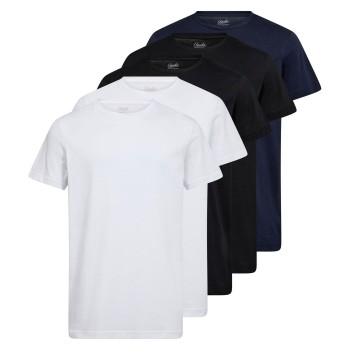 Claudio 5P Cotton T-Shirt Flerfarvet bomuld Large Herre