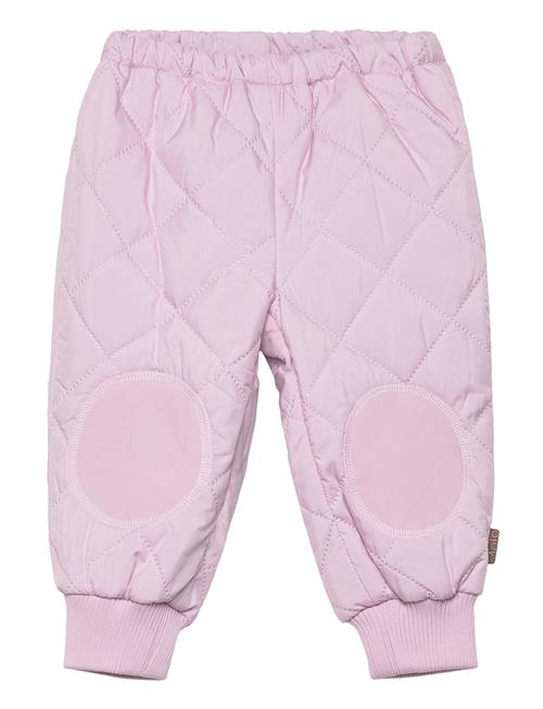 Harlan Molo Pink