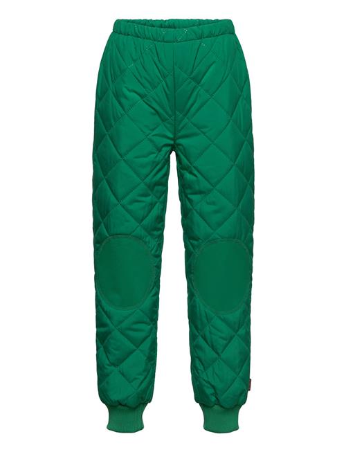 Harlan Molo Green