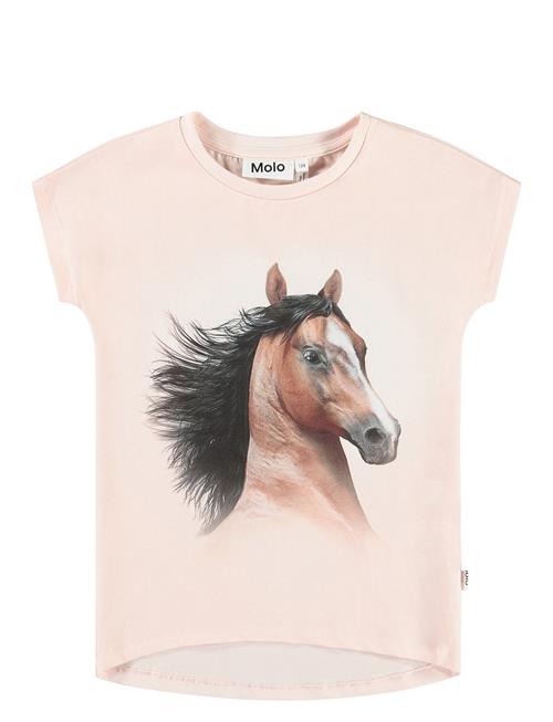 Ragnhilde Molo Pink