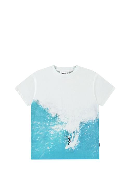 Riley Molo Blue