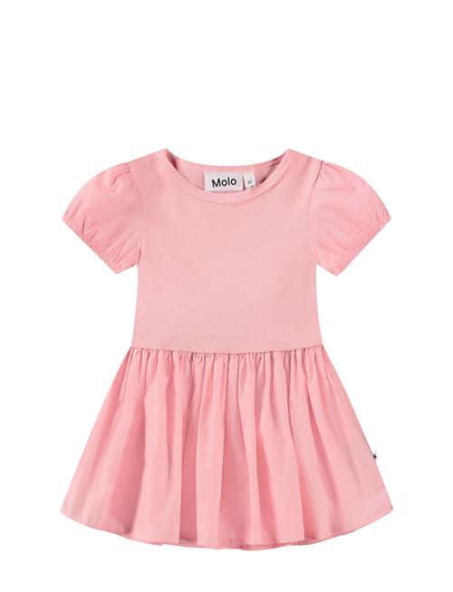 Caitlin Molo Pink