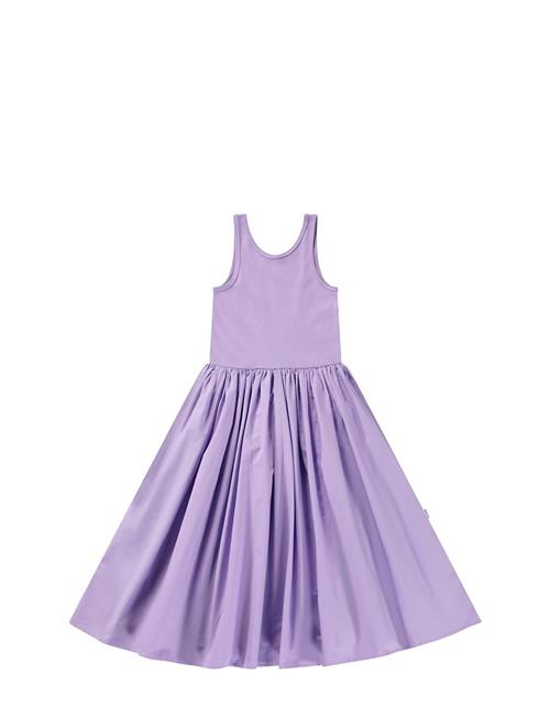 Corella Molo Purple