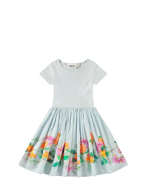 Cissa Molo Blue
