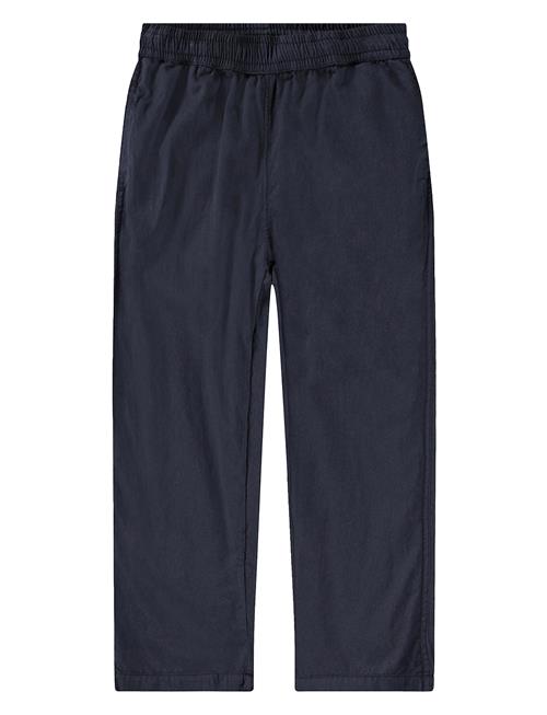 Aster Molo Navy