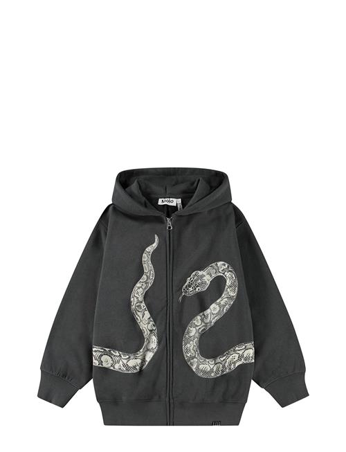 Mazzo Molo Grey