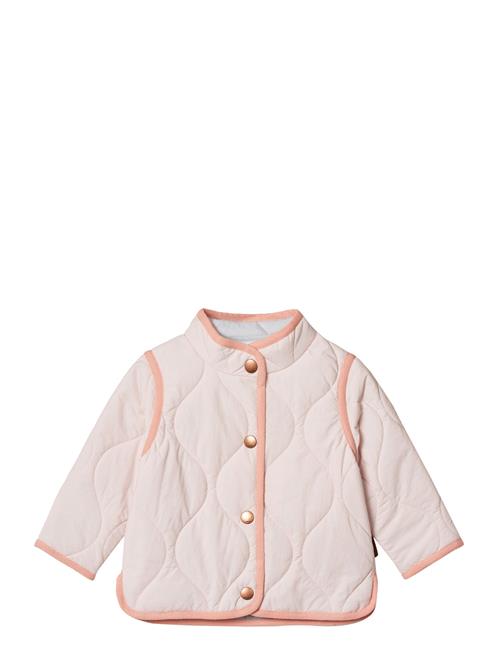 Harrie Molo Pink