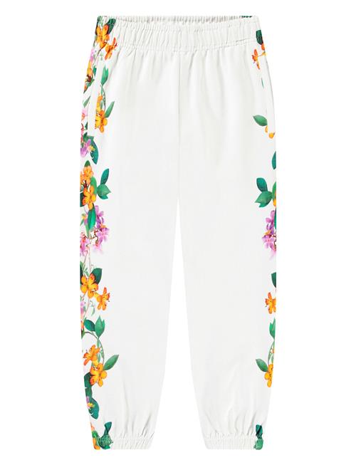 Allen Molo White