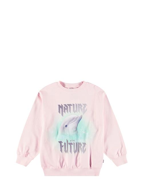 Monti Molo Pink