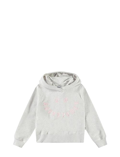 Minelli Molo Grey