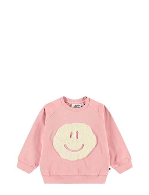 Disc Molo Pink