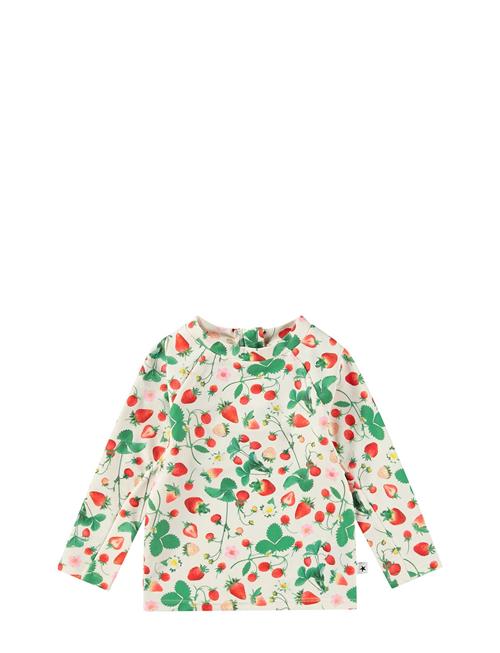 Nemo Molo Green