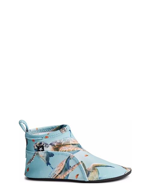 Zimba Molo Blue