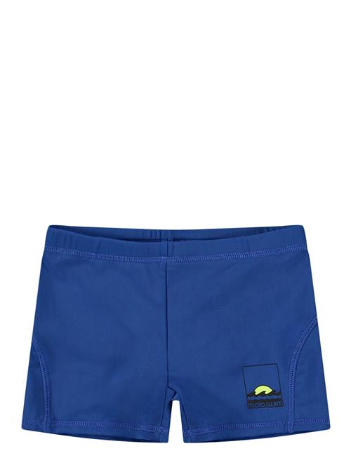 Norton Molo Blue