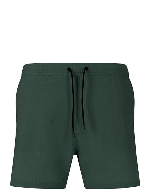 Talon M Seersucker Board Shorts Virtus Green