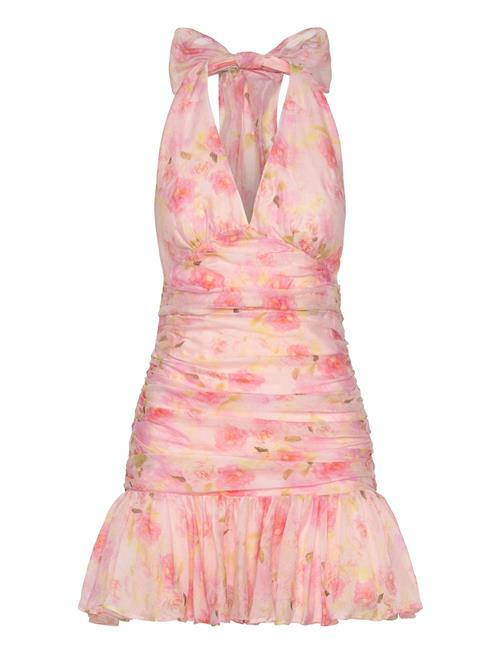 Mave Halter Neck Mini Dress Bardot Pink