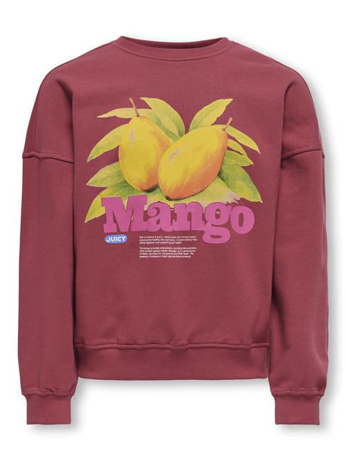 ONLY GIRLS Sweatshirt 'KOGPHILEA'  purpur