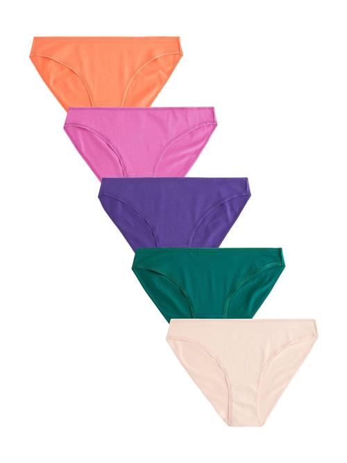 Next Slip  creme / mørkegrøn / violetblå / orange / fuchsia