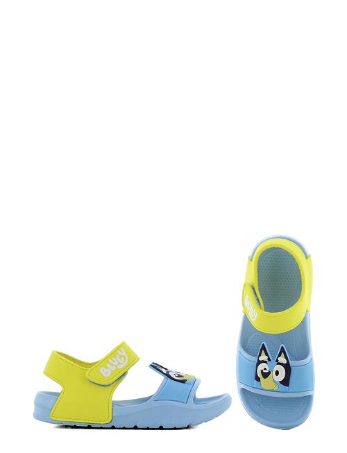 Bluey Sandal Leomil Blue