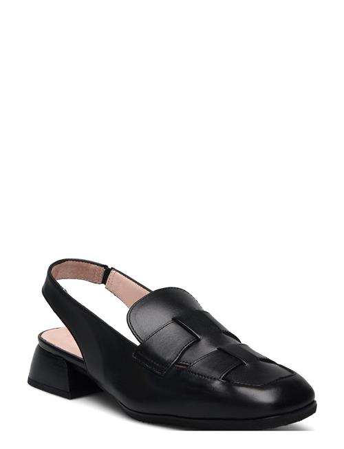 Renata Wonders Black
