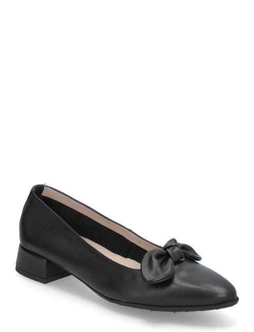 Tancy Wonders Black