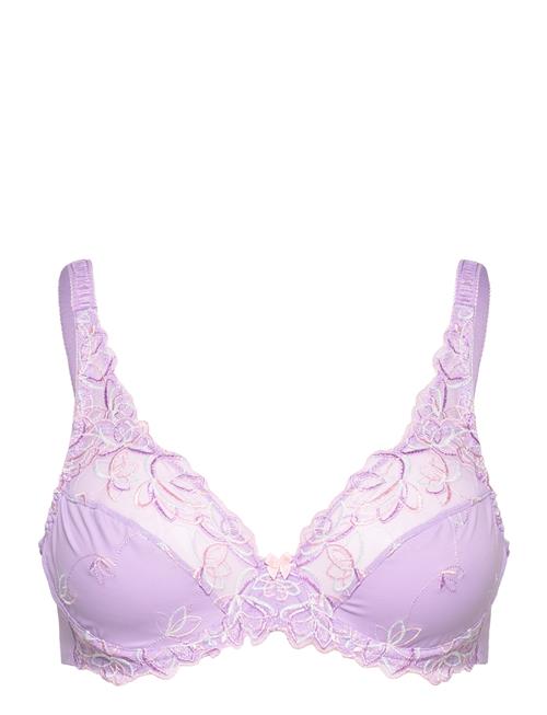 Diva Uf Hunkemöller Purple