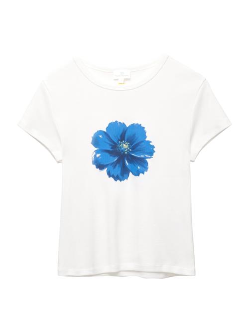 Pull&Bear Shirts  blå / hvid