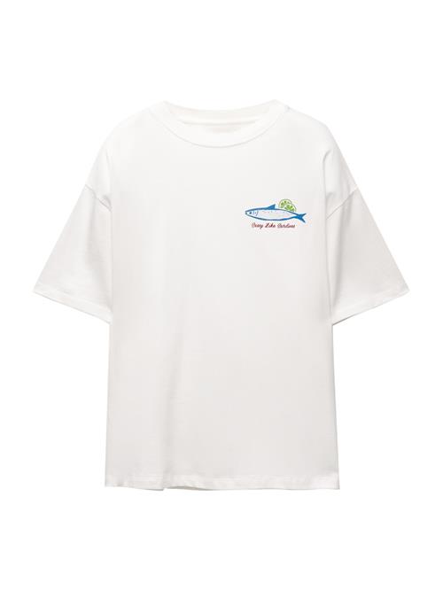 Se Pull&Bear Shirts  royalblå / grå / rød / offwhite ved About You