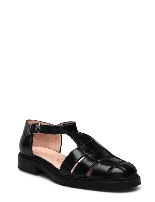 Glow Wonders Black