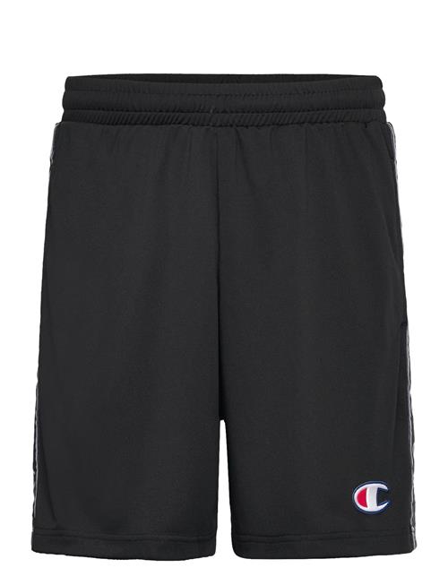 Bermuda Champion Black