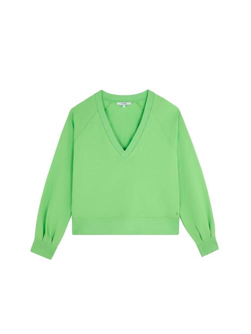 Scalpers Sweatshirt ' '  grøn