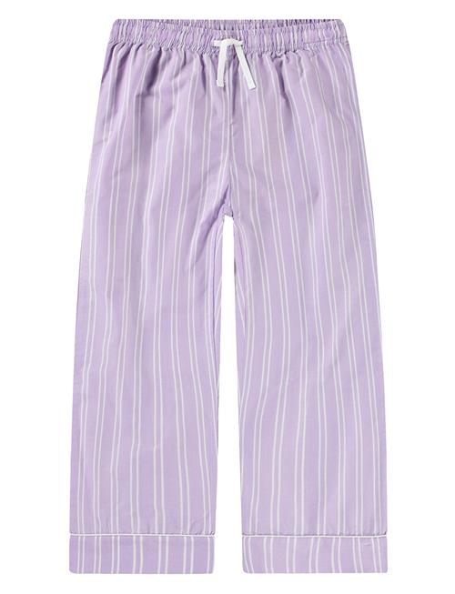 Alfrida Molo Purple
