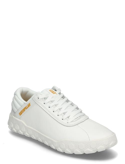Men's Hex + - Bright White Caterpillar White