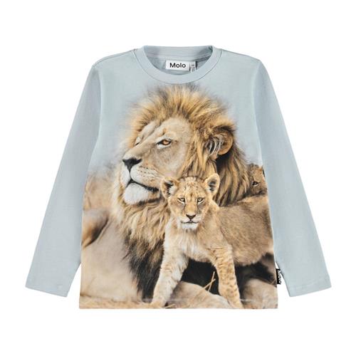 Molo Reif Langærmet T-shirt Lion Family | Blå | 140 cm