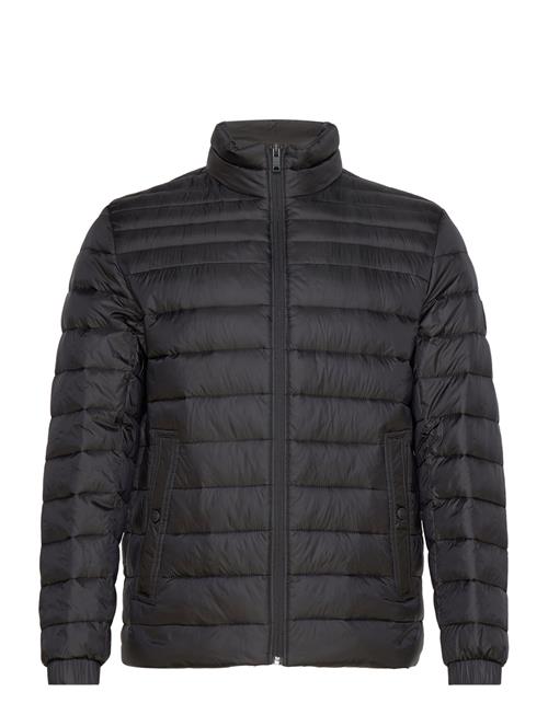 Oden1 BOSS Black
