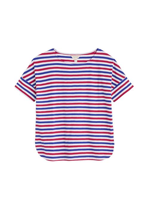 Seasalt Cornwall Shirts 'Bryher View'  blå / rød / hvid