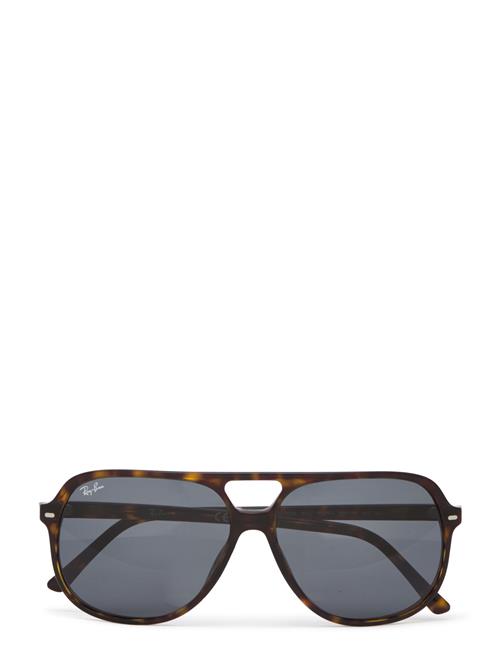 Bill Ray-Ban Brown