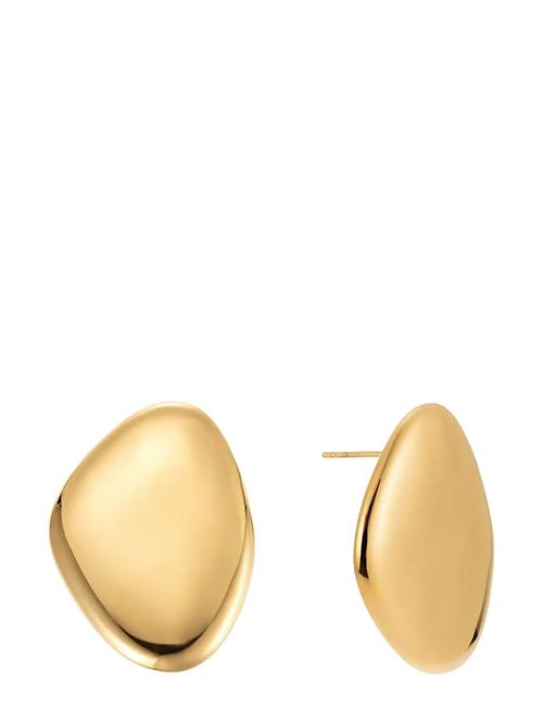 Milano Earring Steel By Jolima Gold