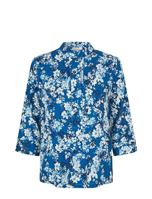 Danittadea Ev Dea Kudibal Blue