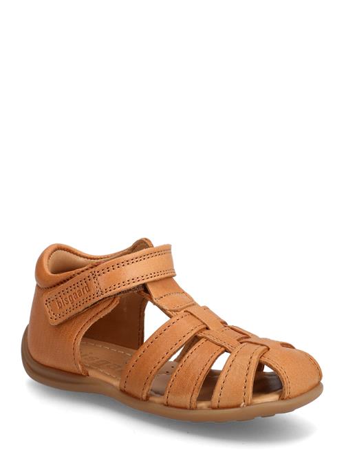 Bisgaard Carly Bisgaard Red