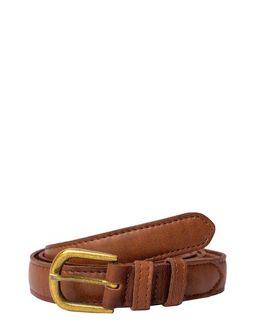 Hyas RE:DESIGNED EST 2003 Brown