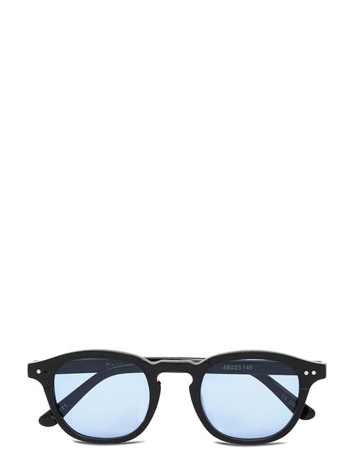 Todd Corlin Eyewear Blue