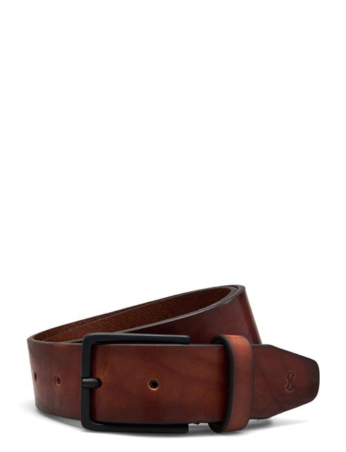 Montevideo Saddler Brown