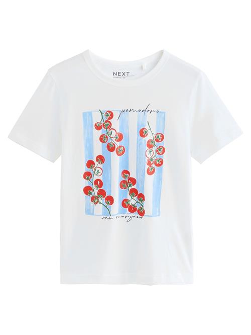 Next Shirts 'Essential'  lyseblå / grøn / rød / hvid