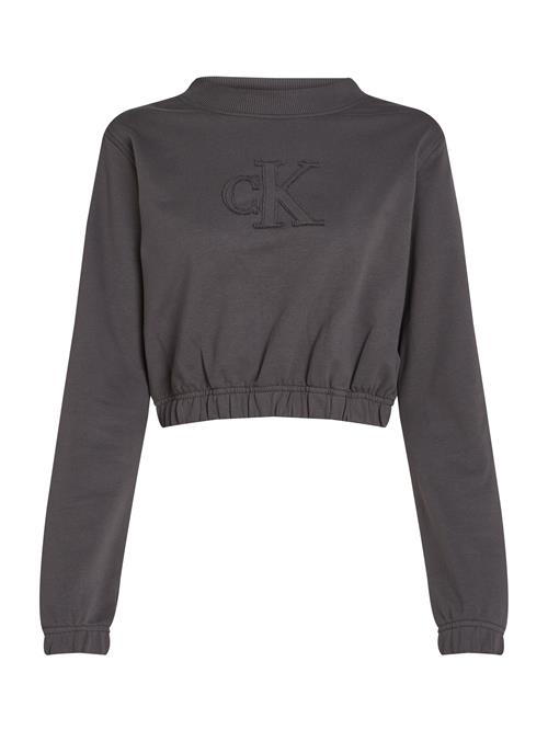 Calvin Klein Jeans Sweatshirt  grå