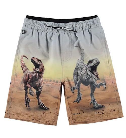 Se Molo Badeshorts - UV50+ - Neal - Dino Scenery ved KidsWorld