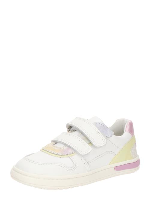 Se PRIMIGI Sneakers  gul / eosin / hvid ved About You