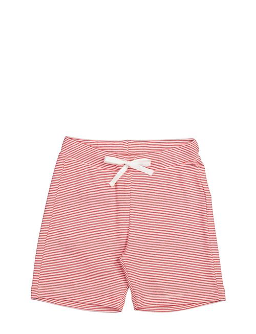 Paulo MarMar Copenhagen Red