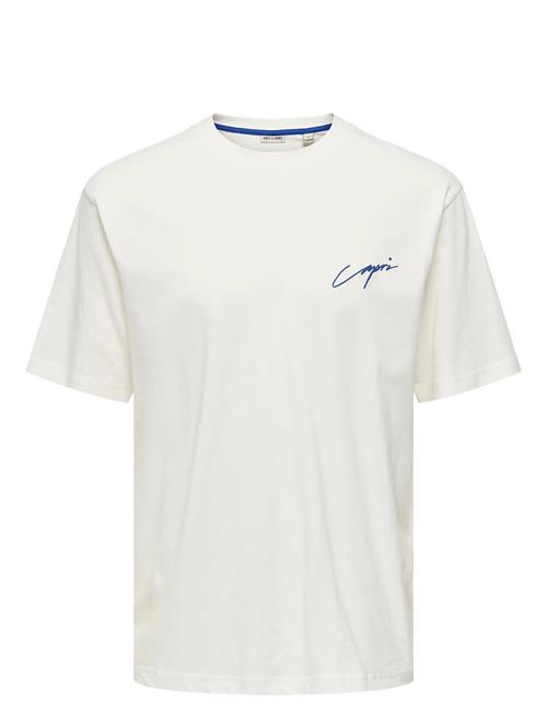 Onsmilo Sketch Rlx Coast Ss Tee ONLY & SONS White